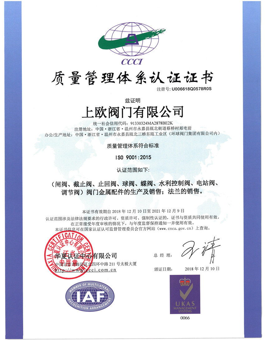 ISO9001��2015�|�������wϵ�����ģ�.jpg