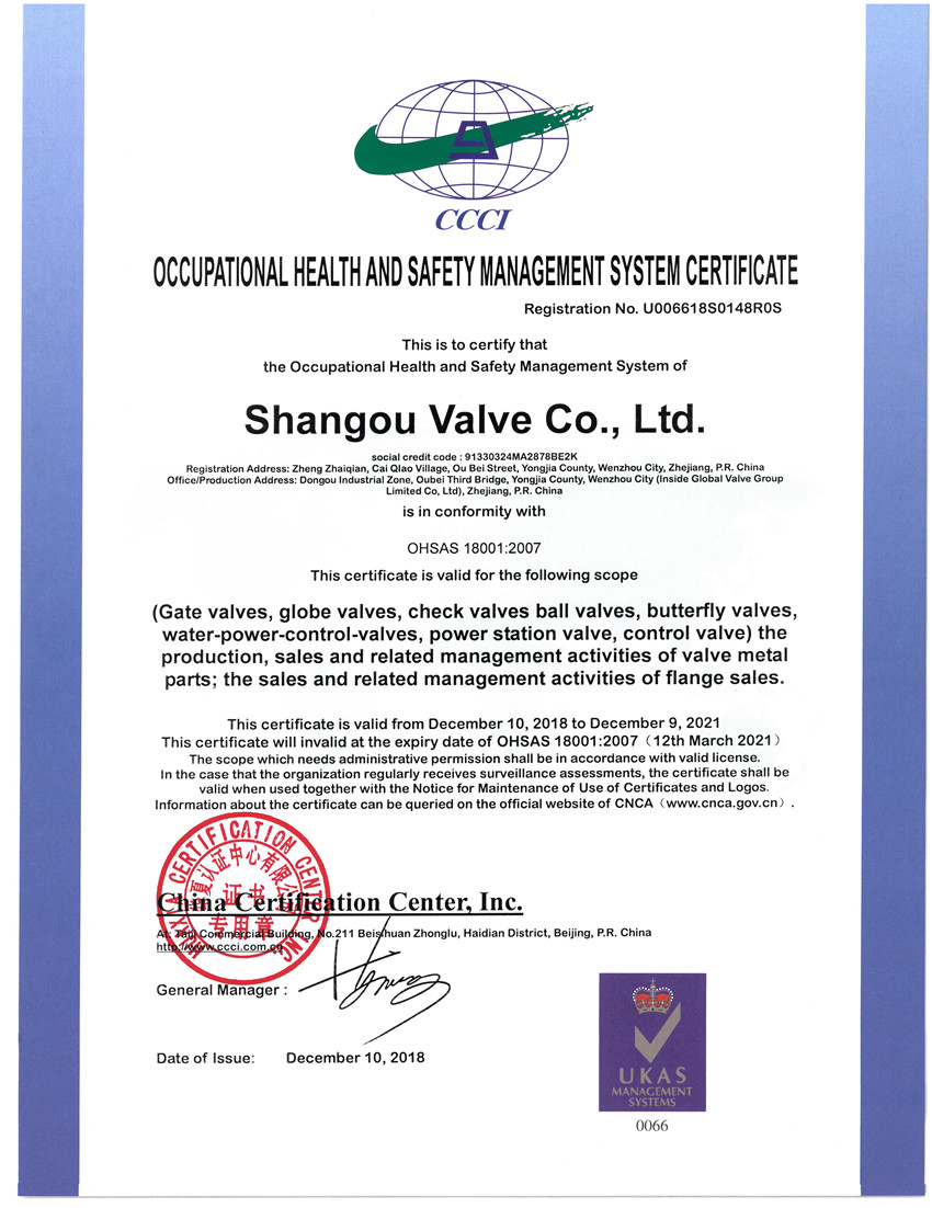 ISO18001 2007�I���������wϵ�J�C��Ӣ�ģ�.jpg